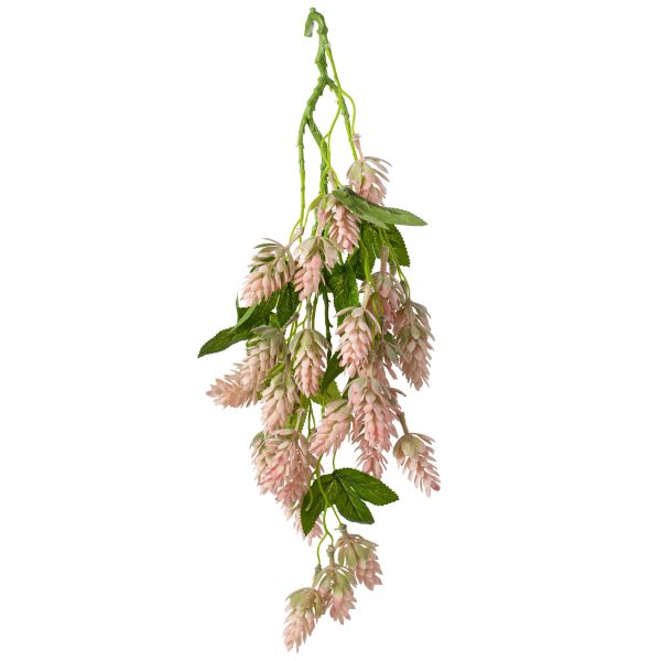 19   Hops Hanging Spray: Pink Online Sale