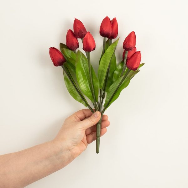 13  Tulip Bush: Red (9 Stem) Discount