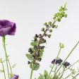 21  Poppy Flower Spray: Purple Supply