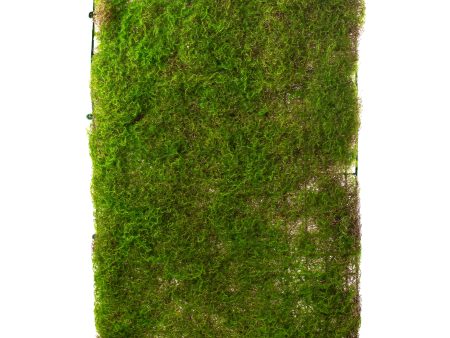 23  Green Moss Mat Hot on Sale