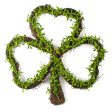 15  Clover Boxwood Grapevine Hanger Online now