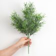 18  Rosemary Bush Online