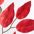 23  Ficus Leaf Spray: Red (12) Online