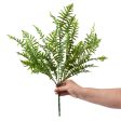 22  Leather Fern Bush Sale