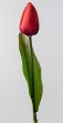 13  Tulip Bush: Red (9 Stem) Discount