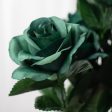 17  Colorfast Lillian Open Rose Bush (12): Emerald Green For Cheap