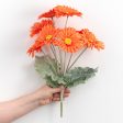 17  Gerbera Daisy Bush: Orange Discount