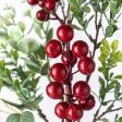 20  Eucalyptus Mix with Red Berries Bush Hot on Sale