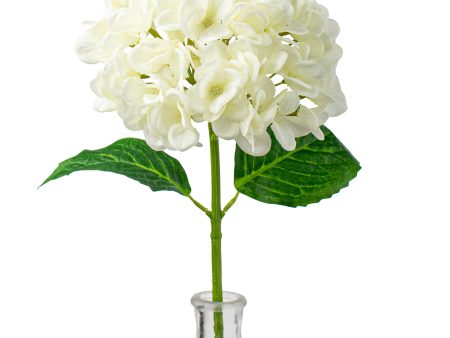 19  Deluxe Mophead Hydrangea Spray: Ivory, Cream Online Hot Sale