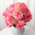 17  Colorfast Carnation Bush: Pink Online