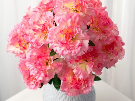 17  Colorfast Carnation Bush: Pink Online