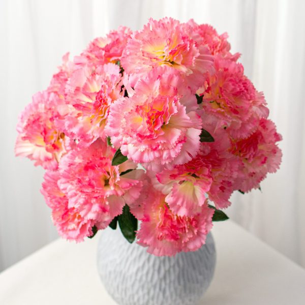 17  Colorfast Carnation Bush: Pink Online