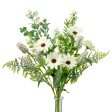 19  Wild Daisy Heather Bush: Ivory Online Hot Sale