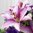 22  Tiger Lily, Rose, Peach Blossom Bush: Purple Online Sale