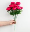 20  Ranunculus Bush: Fuchsia Pink (12 Stem) Discount