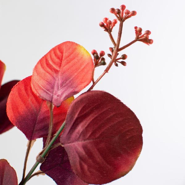 18  Eucalyptus Bush: Red & Burgundy Online now