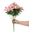 22  Tiger Lily, Rose, Peach Blossom Bush: Pink Hot on Sale