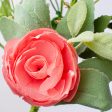 17  Ranunculus Daisy Pick: Pink & Green Online Sale