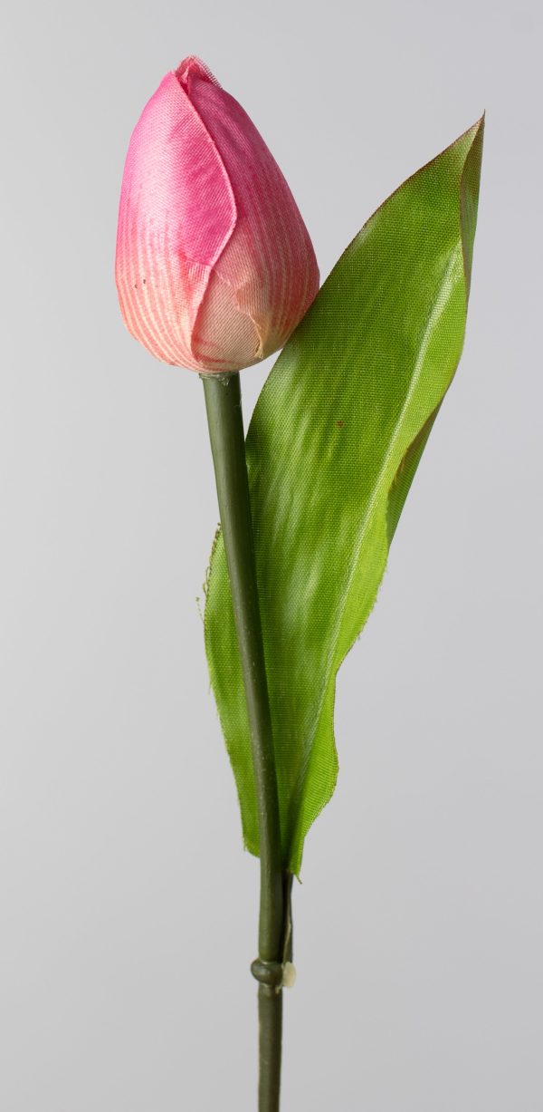 13  Tulip Bush: Pink (9 Stem) Fashion