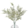 21  Fern Bush: Dusty Sage Online Hot Sale