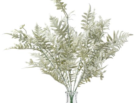 21  Fern Bush: Dusty Sage Online Hot Sale