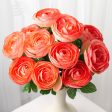 20  Ranunculus Bush: Coral Orange (12 Stem) Online