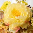 21  Peony, Daisy, Hydrangea Bush: Yellow Cheap