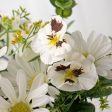 18  Mini Pansy Daisy Mix Bush: Cream (12) Hot on Sale