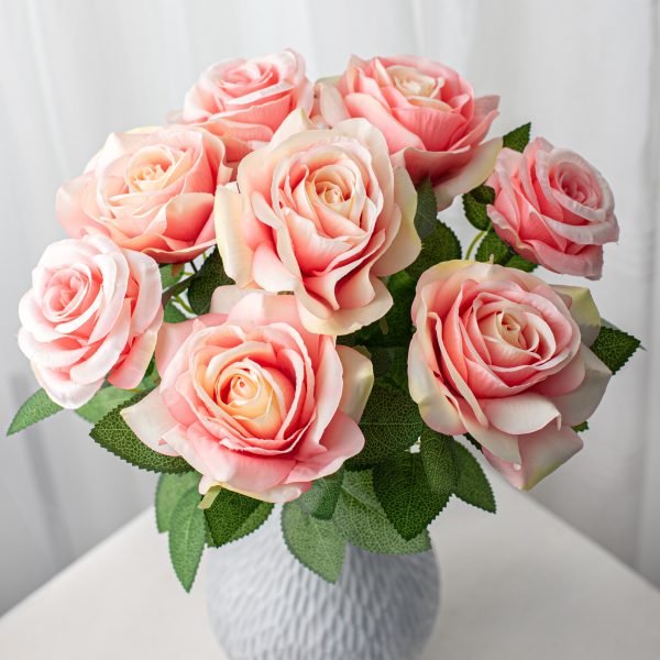 20  Celine Rose Bush: Rose Pink (9 Stem) Online now