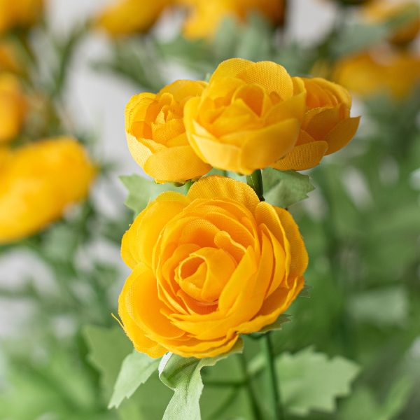 17  Mini Ranunculus Bush: Yellow Online