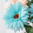 18  Gerbera Daisy Bush: Aqua & Coral Online Hot Sale