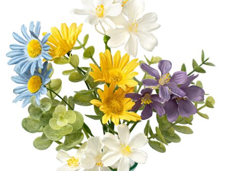 12  Mixed Pastel Daisy Bush Discount