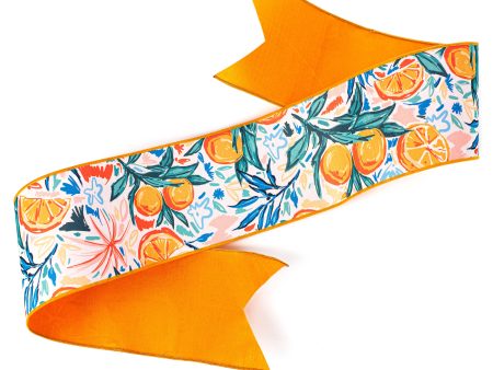 [D Stevens] 6  Dupioni Watercolor Citrus Oranges Wreath Sash For Sale