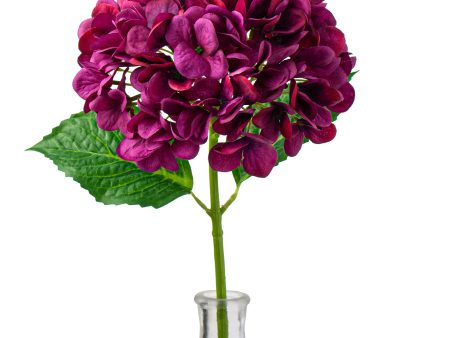 19  Deluxe Mophead Hydrangea Spray: Fuchsia Pink, Violet Cheap