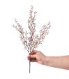 18  Glitter Berry Stem: Champagne Discount