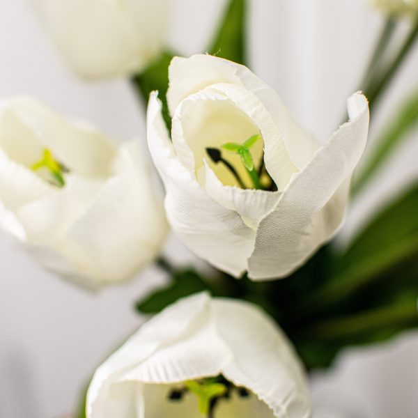 17  Tulips Bush: Cream Online Hot Sale