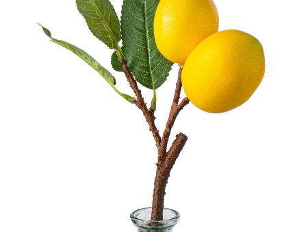 10  Lemon Pick Online