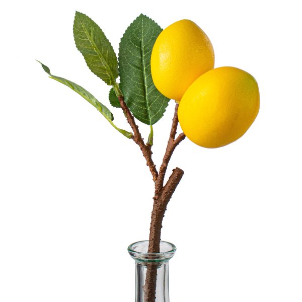 10  Lemon Pick Online