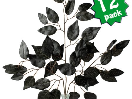 23  Ficus Leaf Spray: Black (12) For Discount