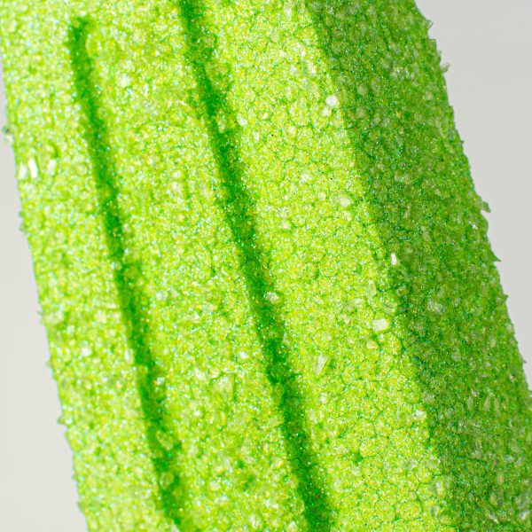 20  Popsicle Pick: Green Hot on Sale