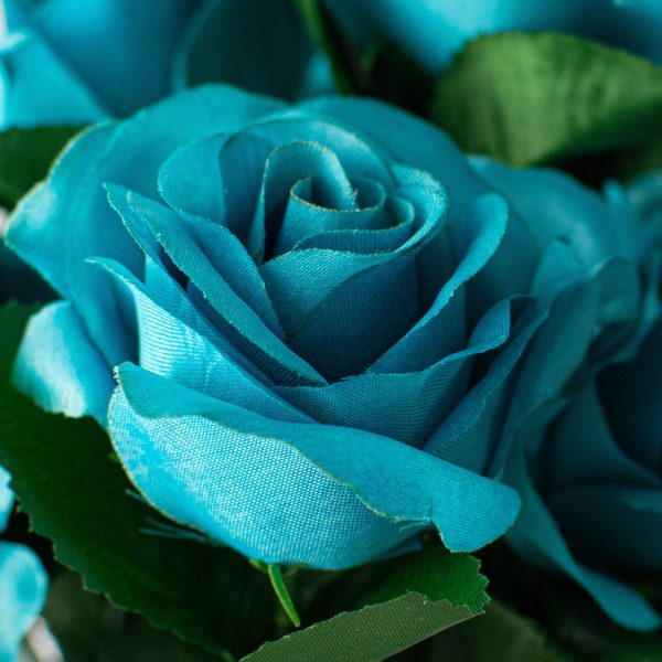 17  Colorfast Lillian Open Rose Bush: Turquoise Online Sale