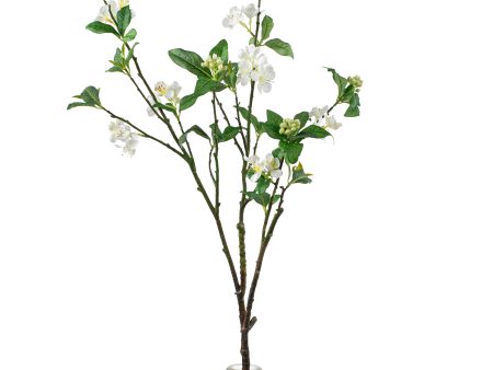 34  Dogwood Branch Spray: Cream Online