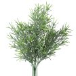 18  Rosemary Bush Online