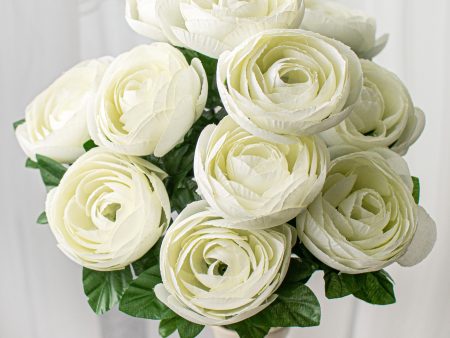 20  Ranunculus Bush: Cream (12 Stem) Sale