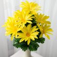 19  Daisy Bush: Yellow (12 Stem) For Discount