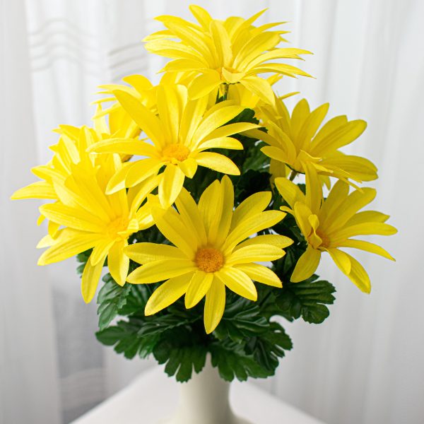 19  Daisy Bush: Yellow (12 Stem) For Discount