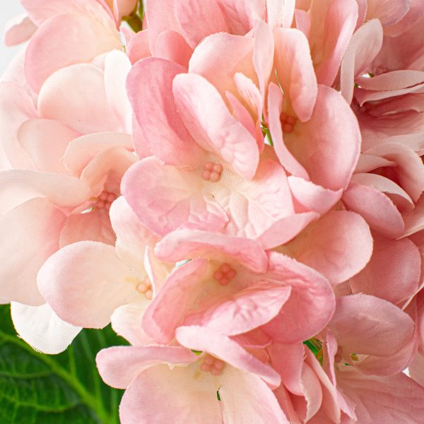 19  Deluxe Mophead Hydrangea Spray: Pink, Cream Hot on Sale