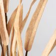 18  Foam Willow Leaves Pick: Beige Hot on Sale