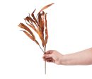 18  Foam Willow Leaves Pick: Brown Online Sale