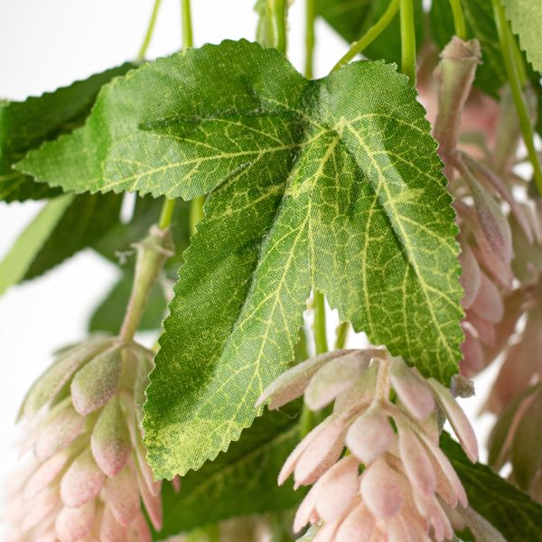 19   Hops Hanging Spray: Pink Online Sale